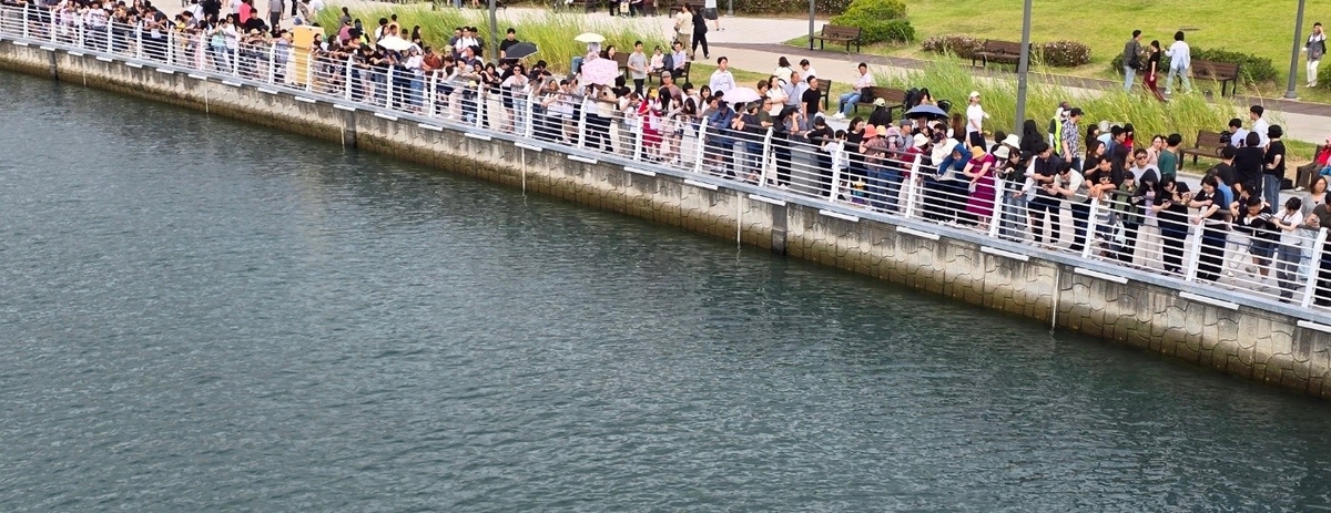 부산 친수공원 상어 '부캉이' 보러 모여든 사람들