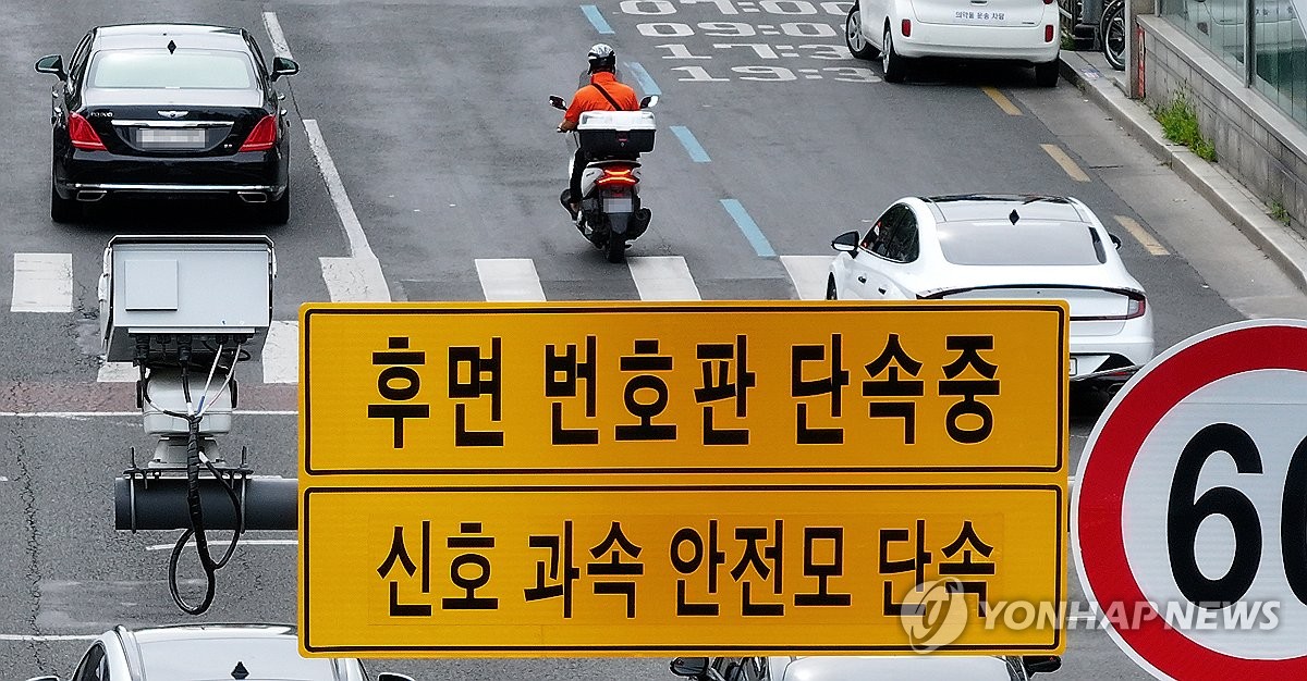 후면 번호판 단속