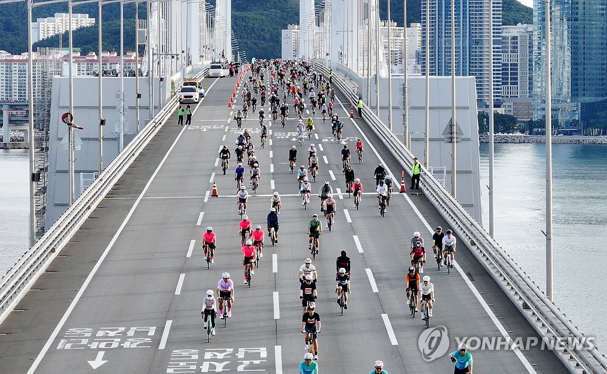 부산 바다를 달리다 '세븐브릿지 투어'