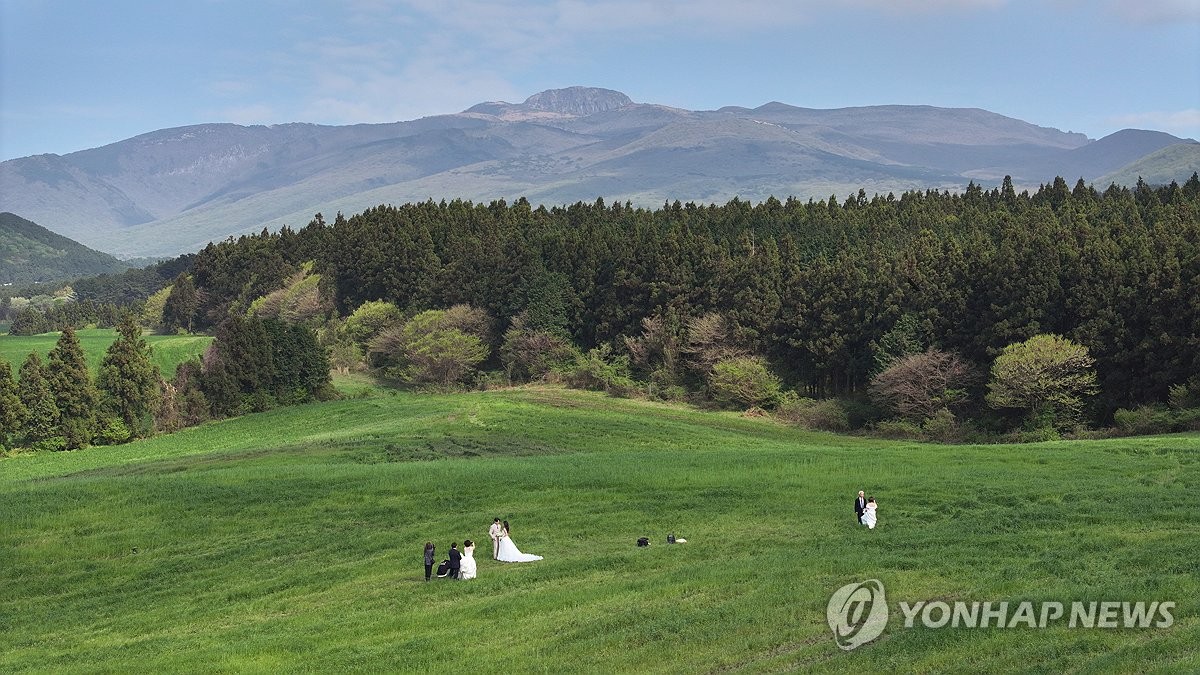 한라산 중턱의 초지