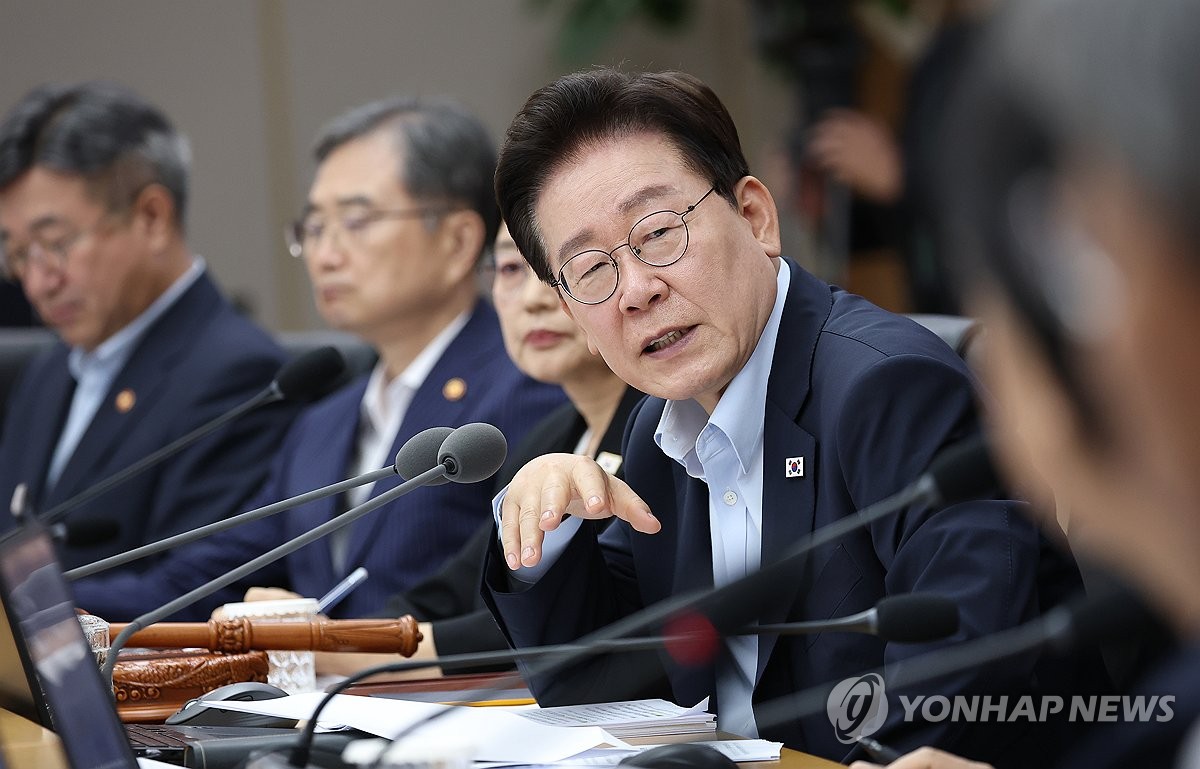 이재명 대통령, 국무회의 발언
