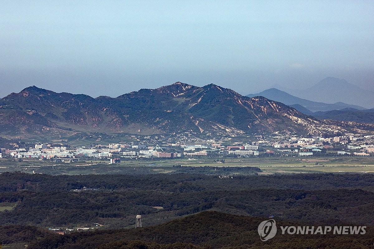 적막한 DMZ의 숲