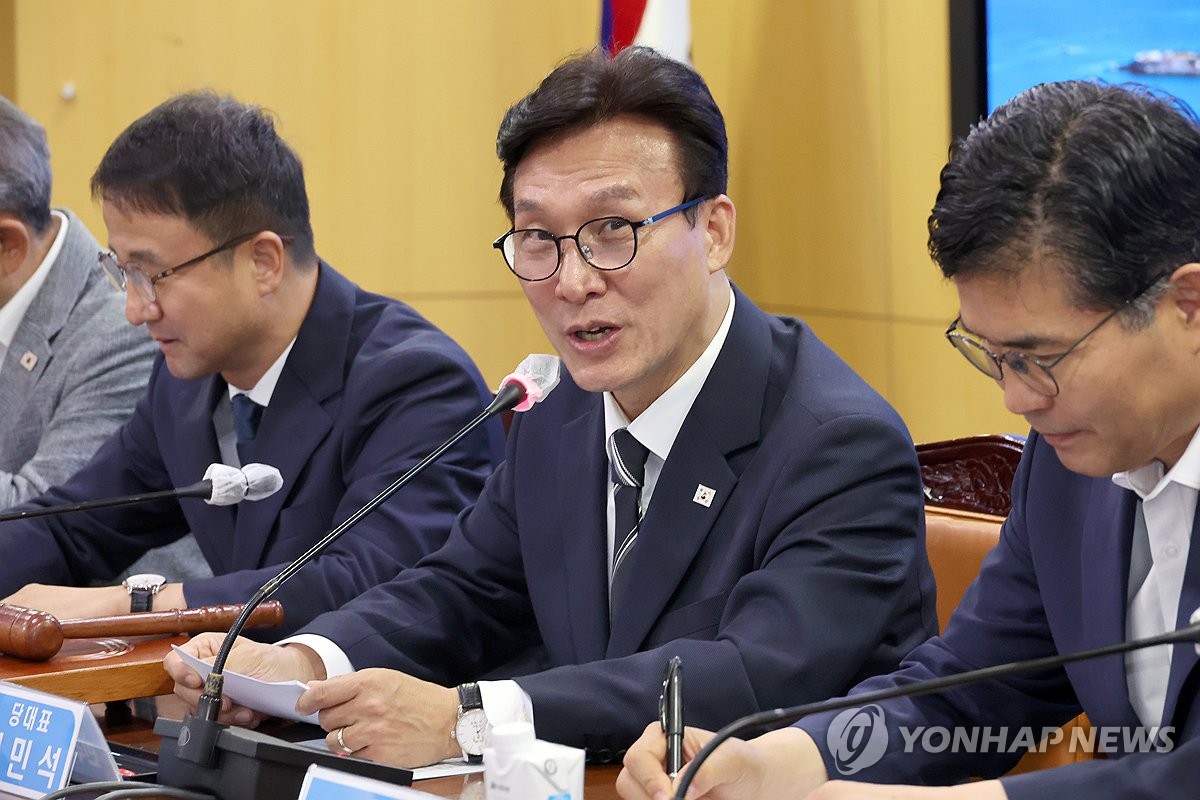 김민석 대표 최고위원회의 발언