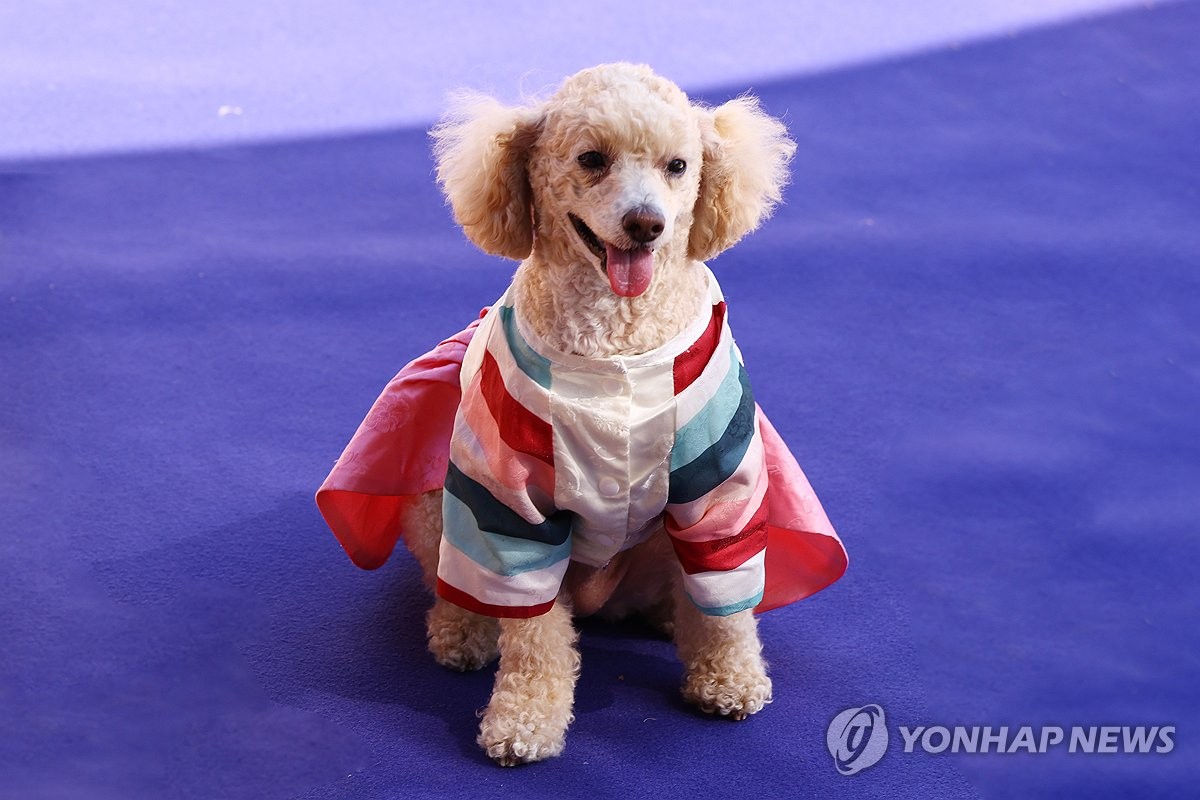 한복 입은 강아지