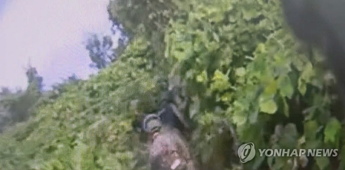 군·유엔사, DMZ에 인력 투입해 현장조사 준비…기동로 확보
