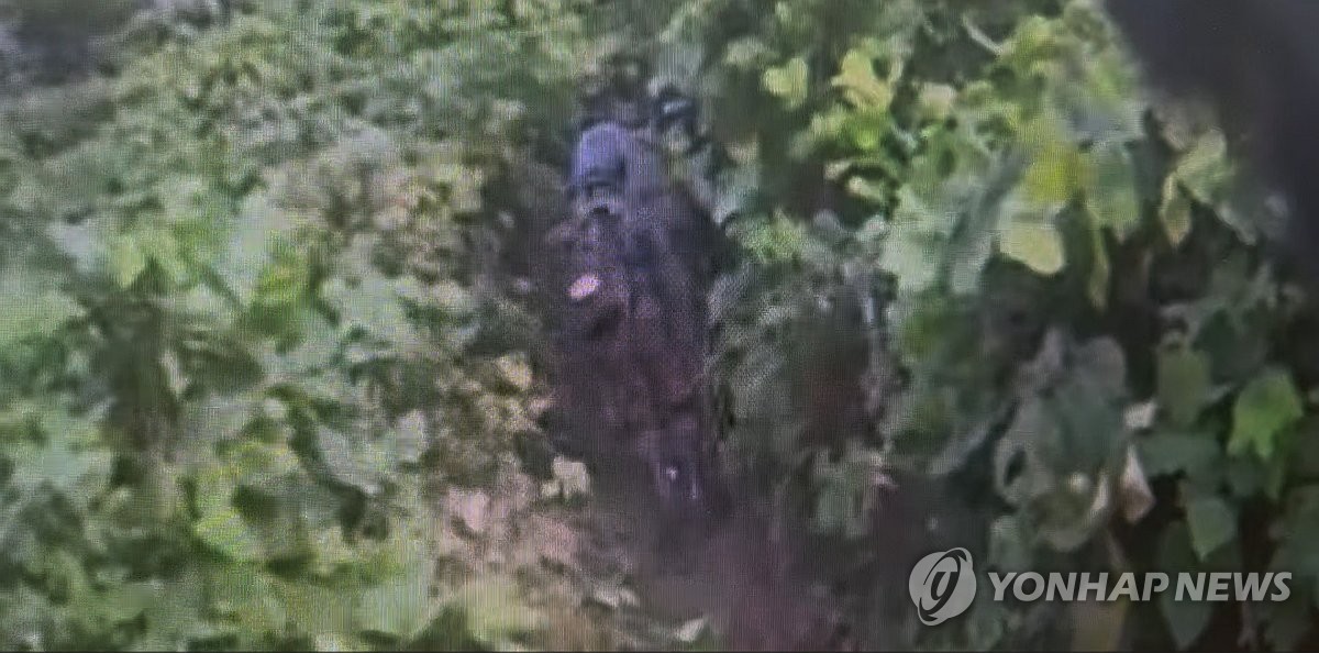 군·유엔사, DMZ에 인력 투입해 현장조사 준비…기동로 확보
