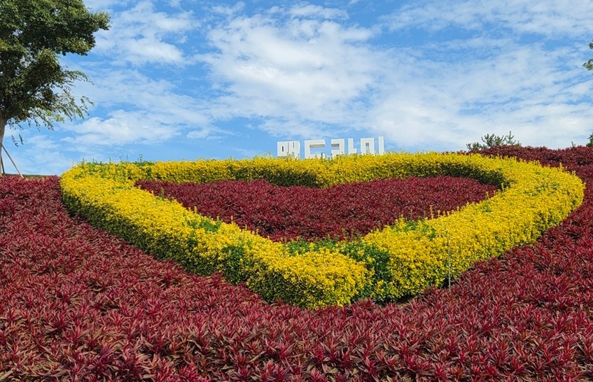 맨드라미 정원