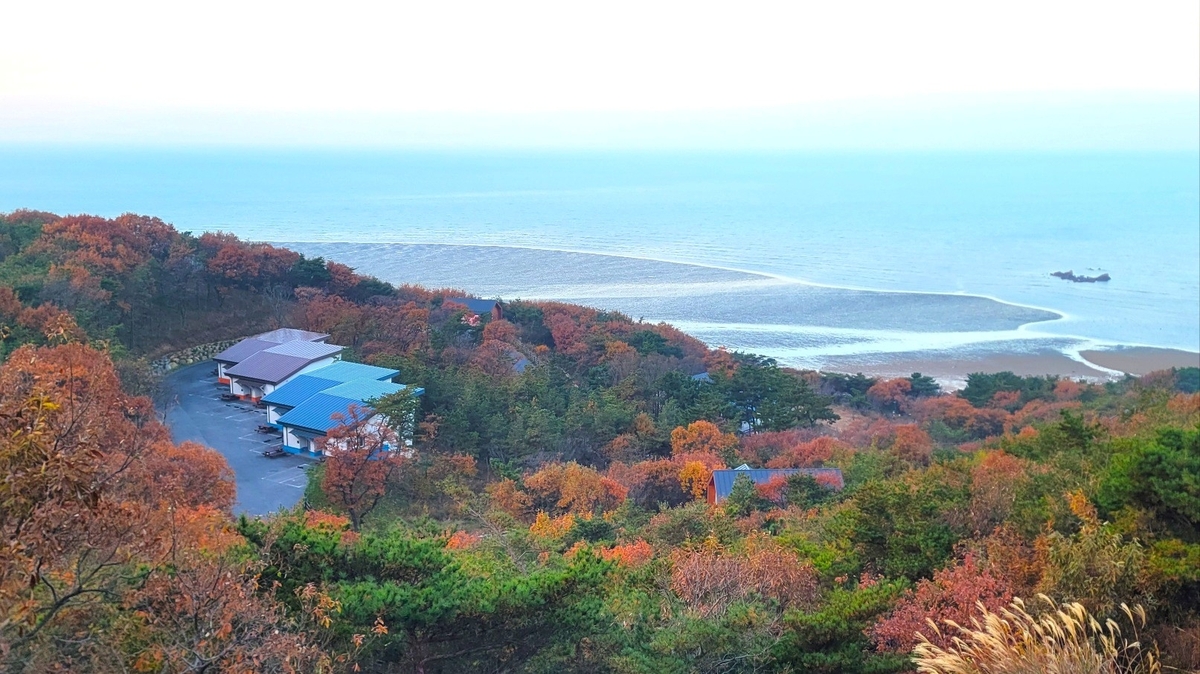 무의도 휴양림