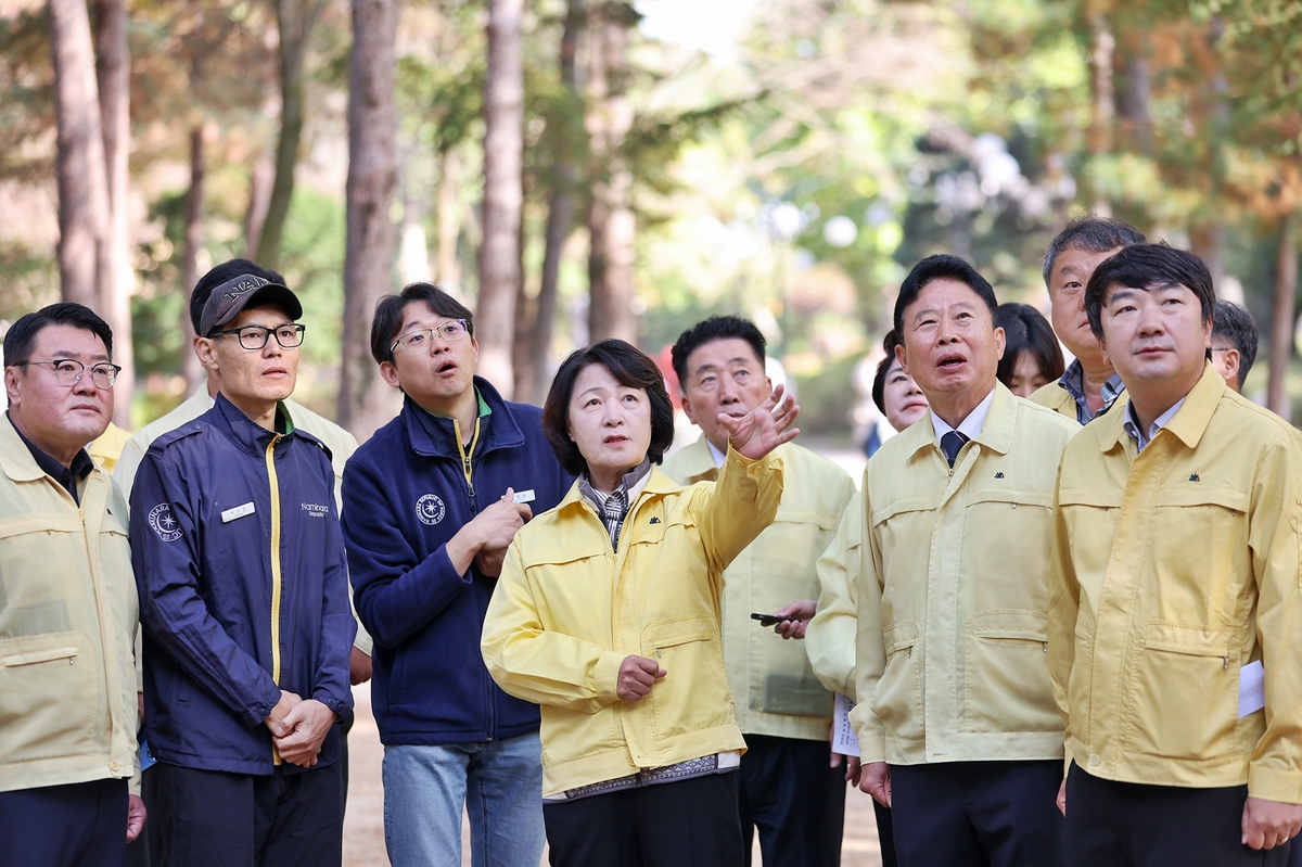 소나무재선충병 방제 대책 논의