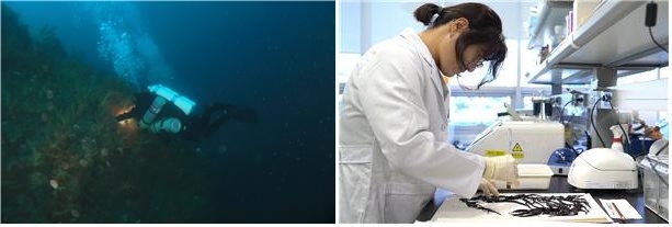 중·대형 저서 동물 채집 및 표본 제작·보존 처리하는 모습