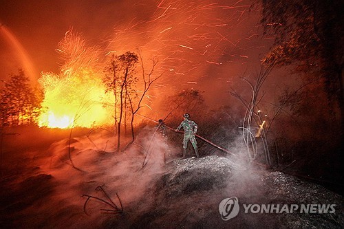 인니 남칼리만탄주서 산불 진화 중인 군인들
