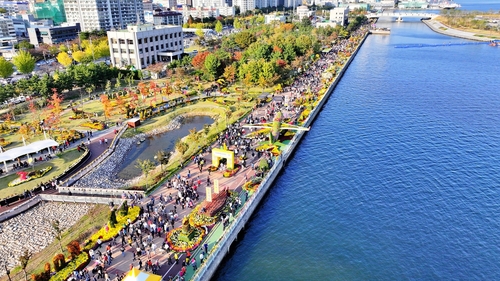 2025년 마산가고파국화축제