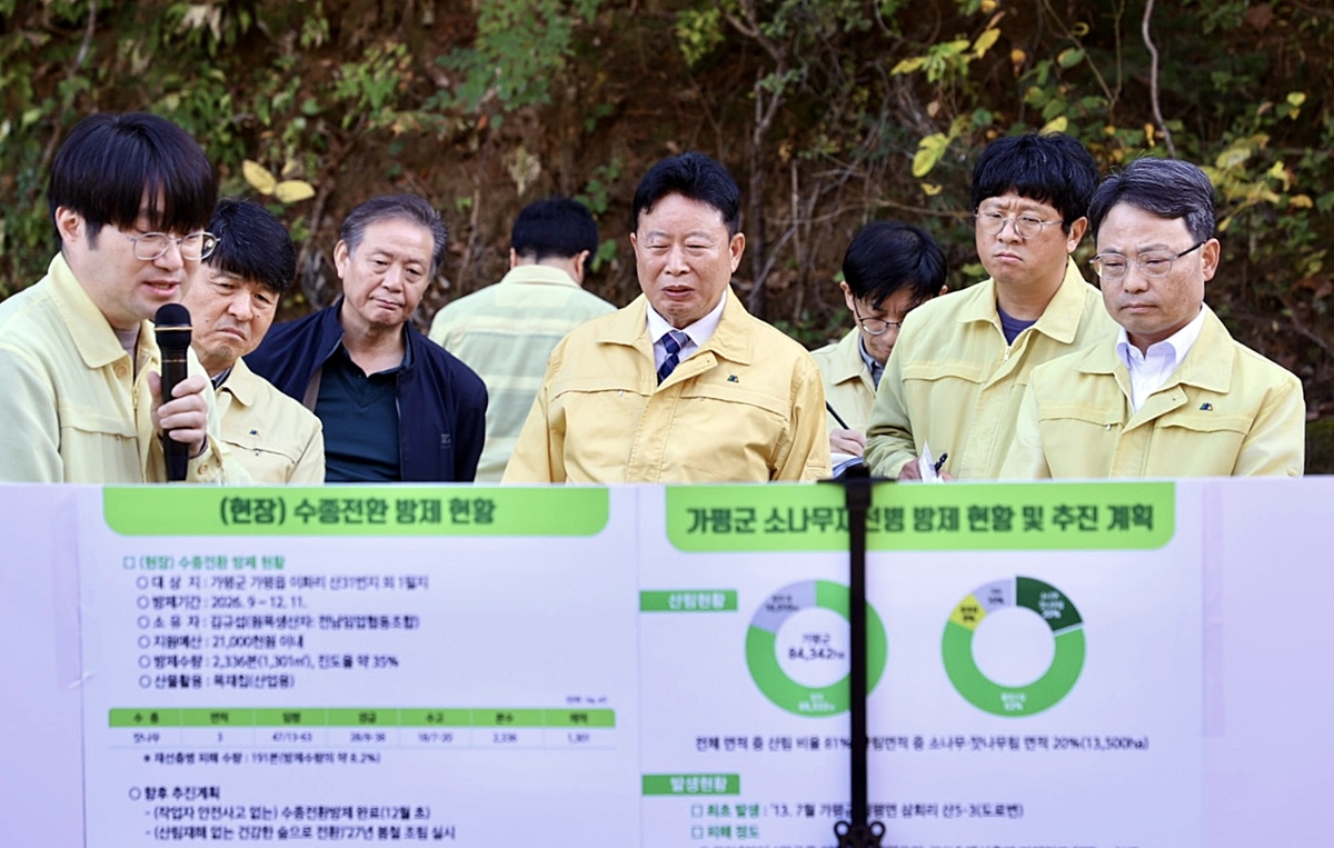 산림청장, 가평서 소나무재선충병 방제 상황 점검