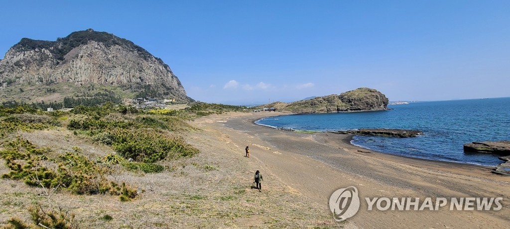 제주 안덕면 설쿰바당 해안사구