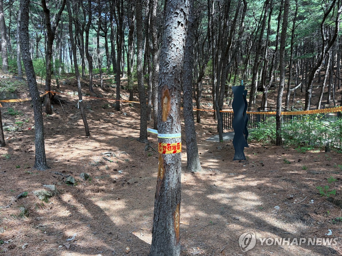 소나무재선충병 감염목