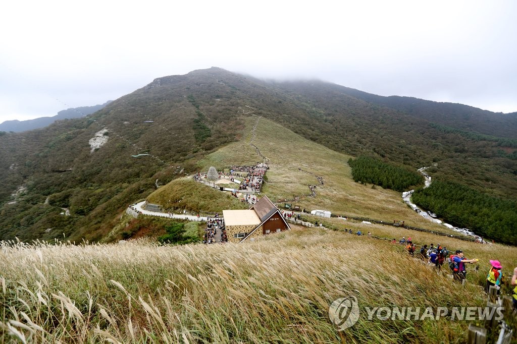 산상 음악회 '울주오디세'에 몰린 인파
