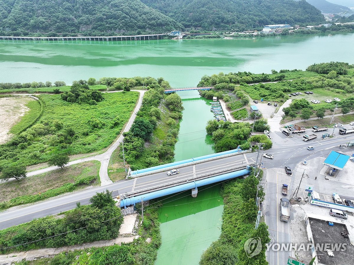 지난 7월 발생한 낙동강 하류 '녹조'