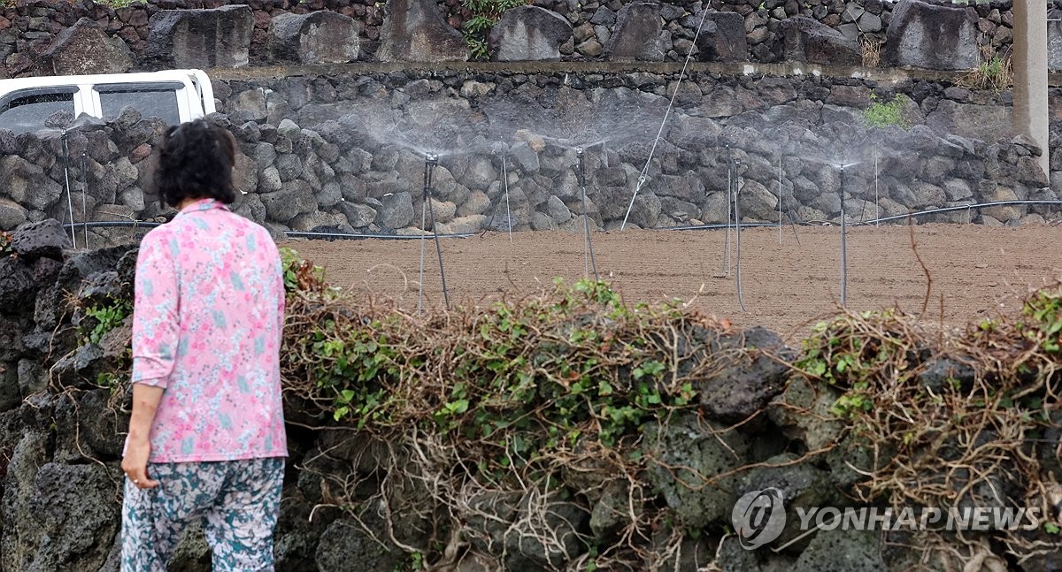 밭에 물 주는 제주 농민