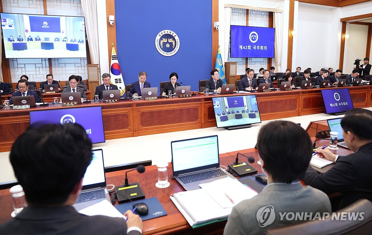 국무회의 주재하는 이재명 대통령