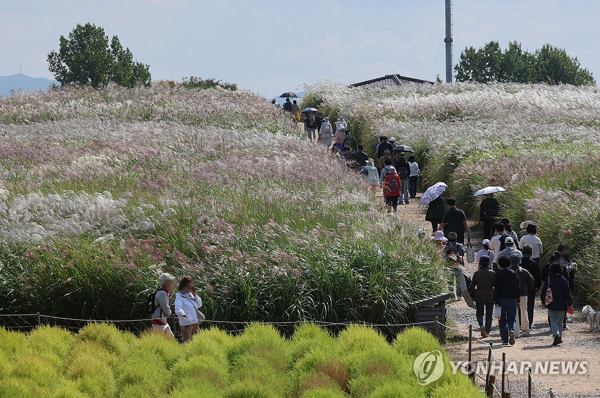 가을 산책