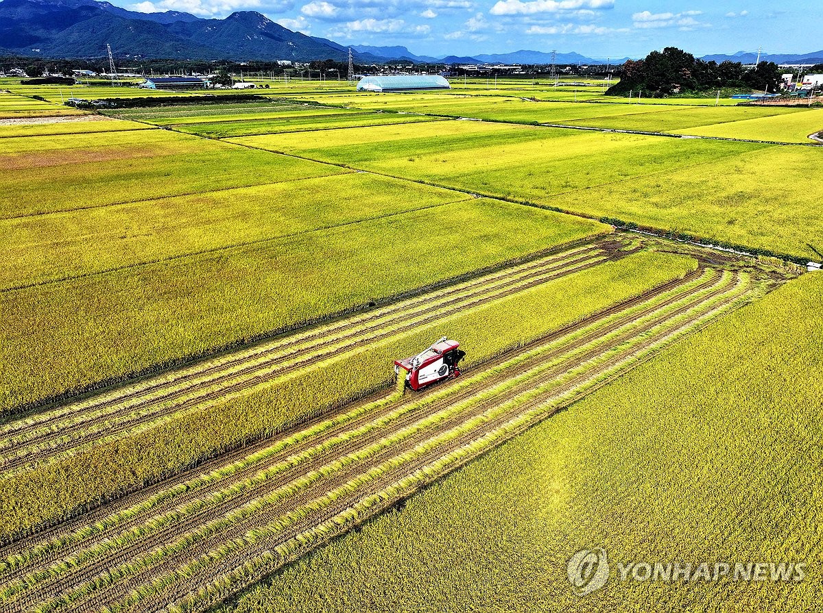 수확의 계절