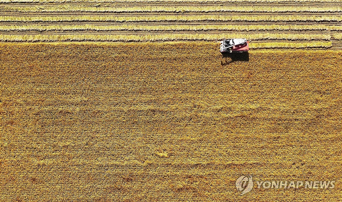가을 추수