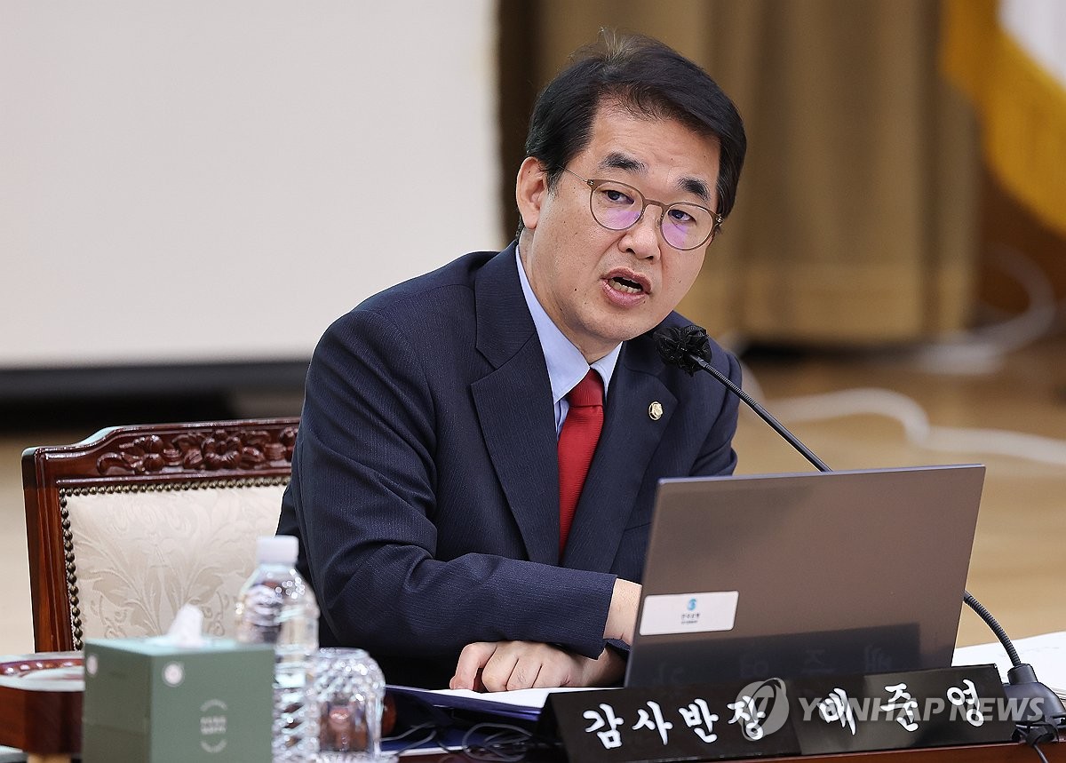 국감서 발언하는 배준영 의원