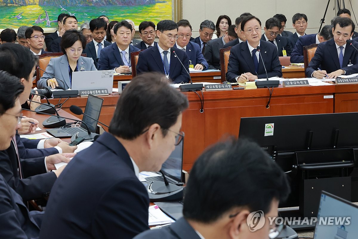 금감원 국감, 답변하는 이찬진 금감원장