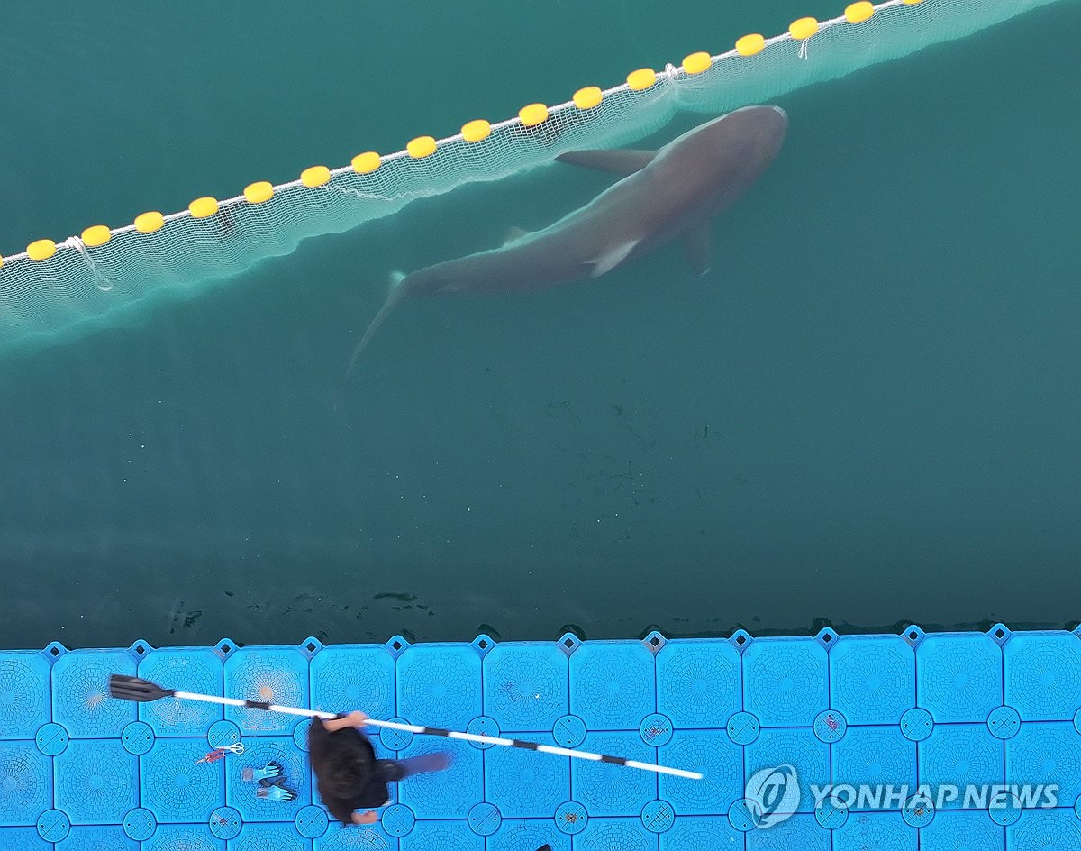 나갈 듯 안 나가는 부캉이